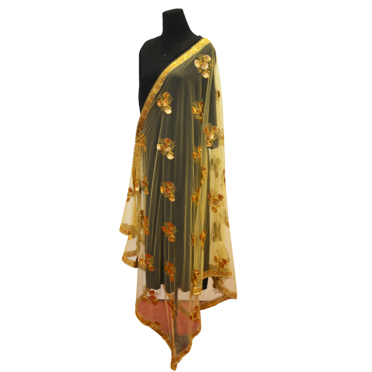 Women Multicolour Full Sequins Dupatta06