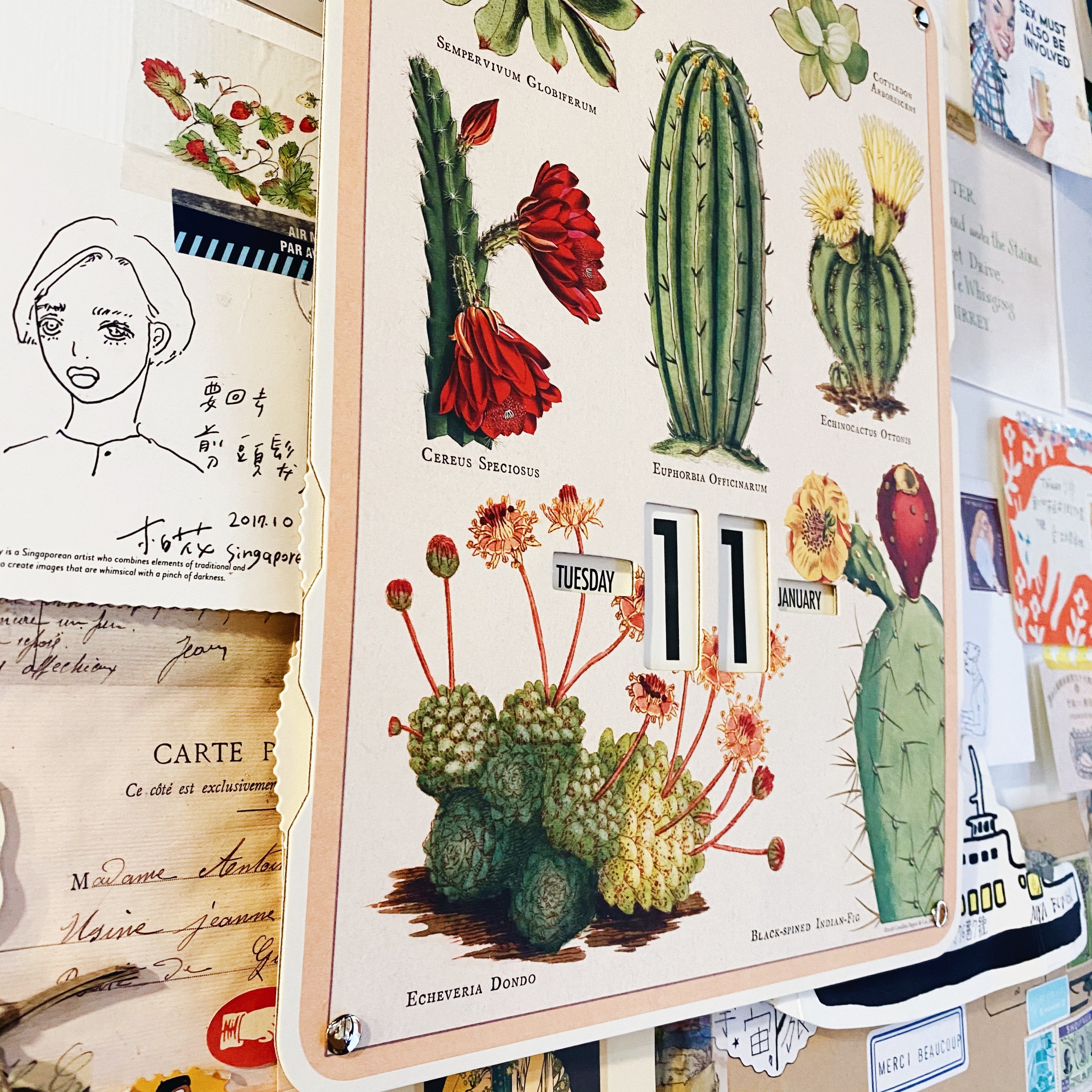 Cavallini &Co. 轉盤萬年曆 掛曆 多肉植物