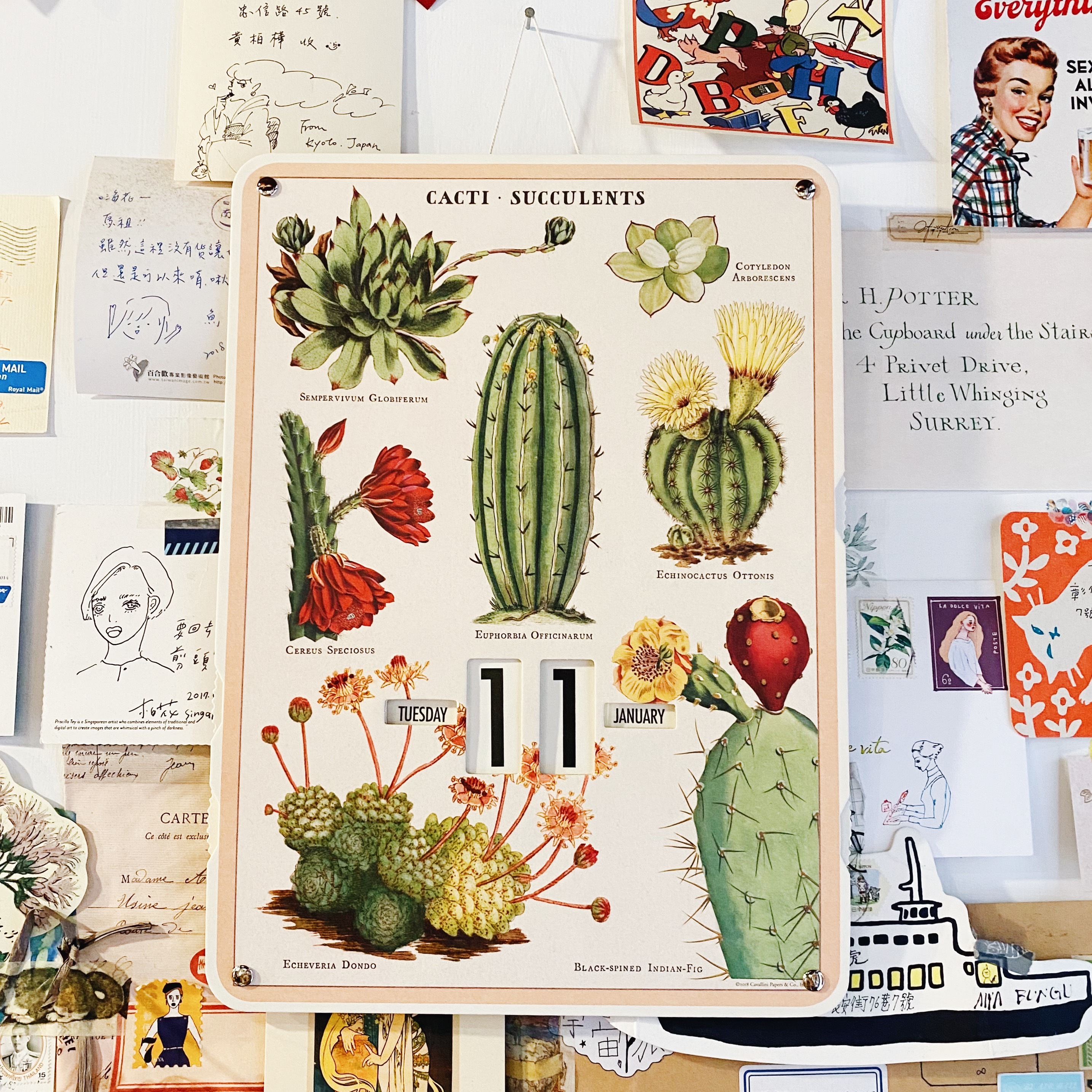 Cavallini &Co. 轉盤萬年曆 掛曆 多肉植物