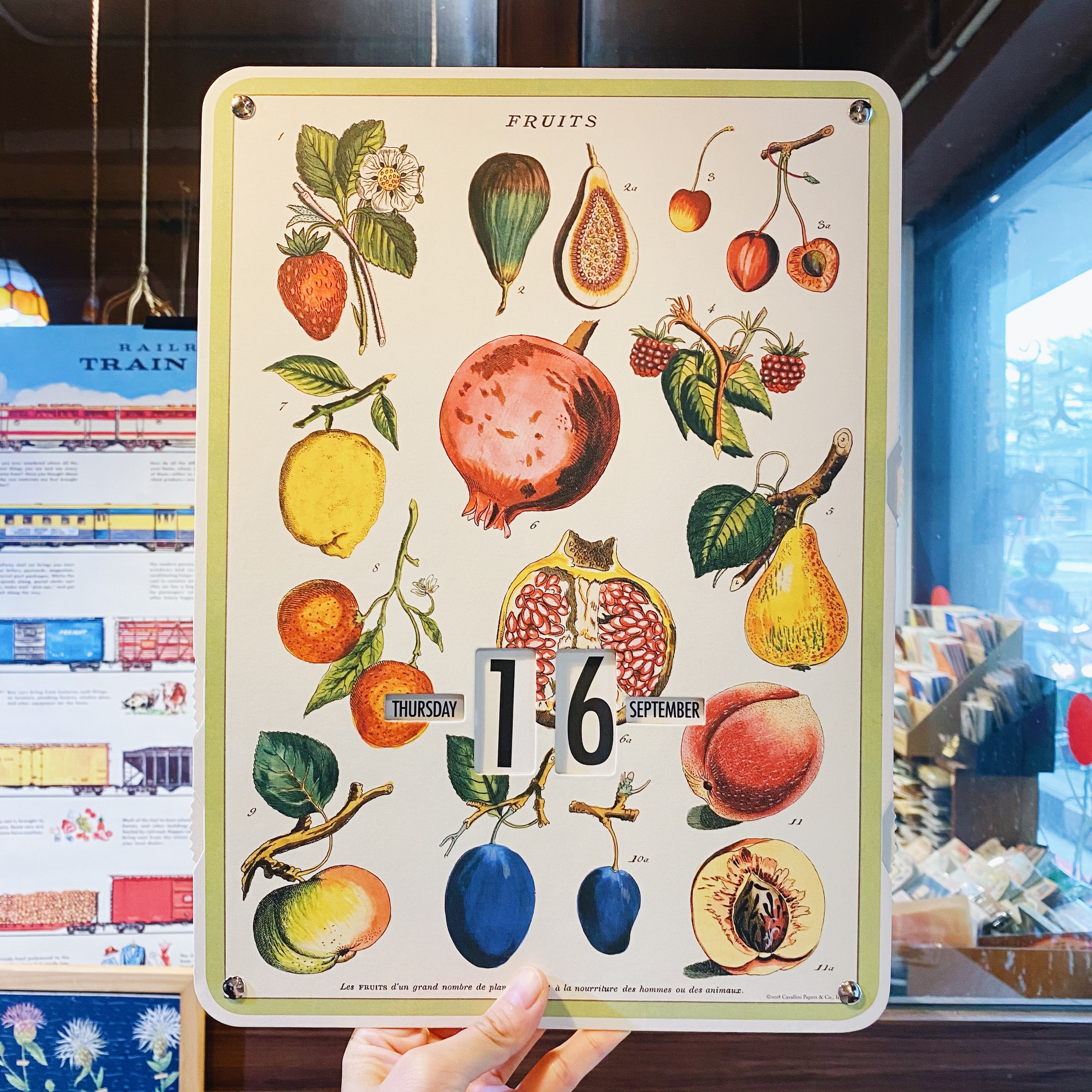 Cavallini &Co. 轉盤萬年曆 掛曆 水果