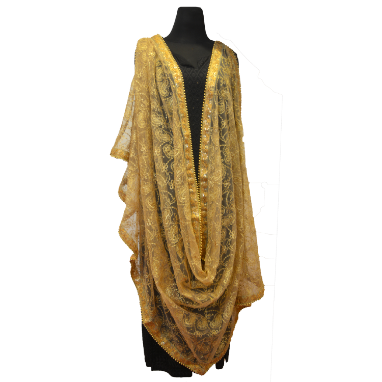 Women Gold Full Length Embroidered Dupatta07