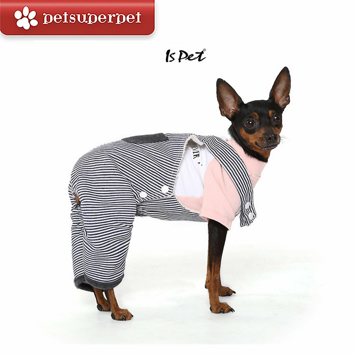 IsPet 寵物雙層全棉條紋褲 - 多款尺寸