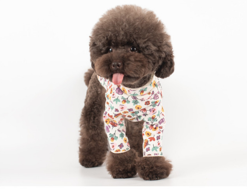 H.CHOUCHOU 田園碎花衫 -白色 (多款尺寸) (平行進口貨品)