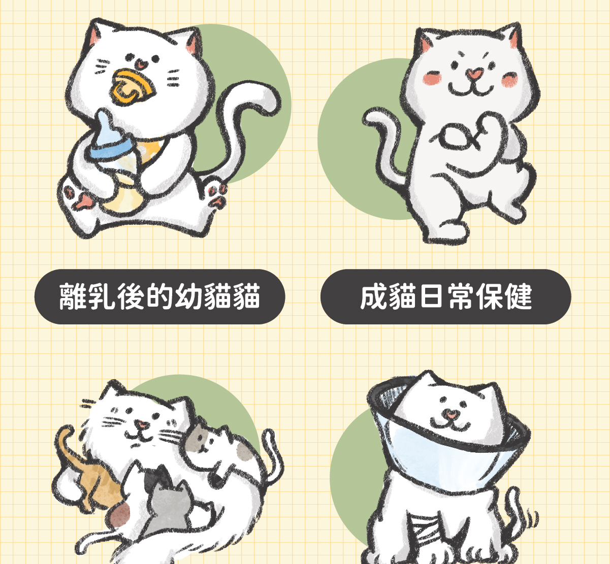 添加機能食材【白山藥】- 幫助幼貓好消化！ ✔ 陪心特調慕斯質地，方便幼貓舔食 ✔ 零澱粉、零穀物、無添加爭議性膠類 ✔ 最符合幼貓一餐所需的營養主食罐 ✔ 懷孕母貓、瘦弱成貓、手術虛弱貓也能吃 ✔ 符合AAFCO&NRC建議之營養標準