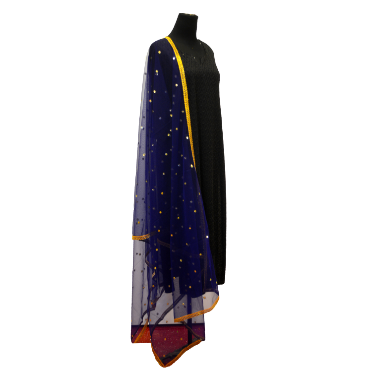 Women Navy Blue Sequins Full Length Dupatta20