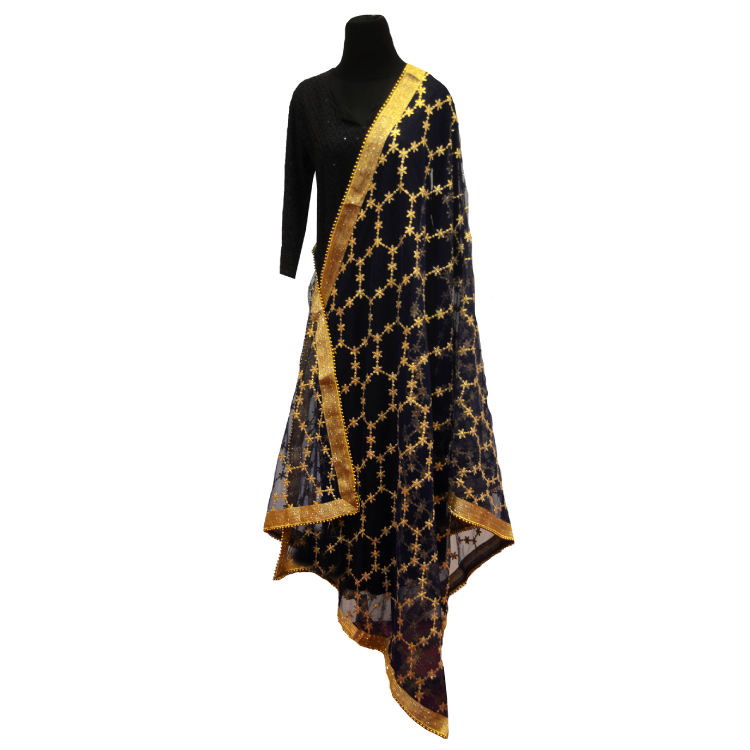 Women Multicolour Full Embroidered Dupatta22