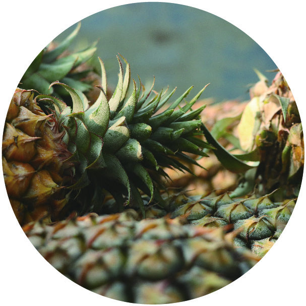 冷凍水果供應，截切水果供應，水果批發，水果原物料，水果原物料供應