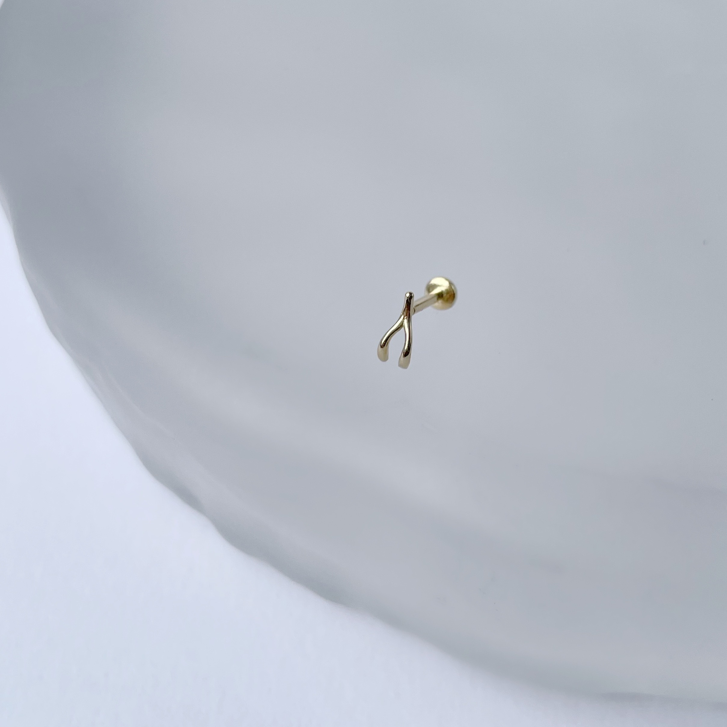14K Wish Bone Stud耳環