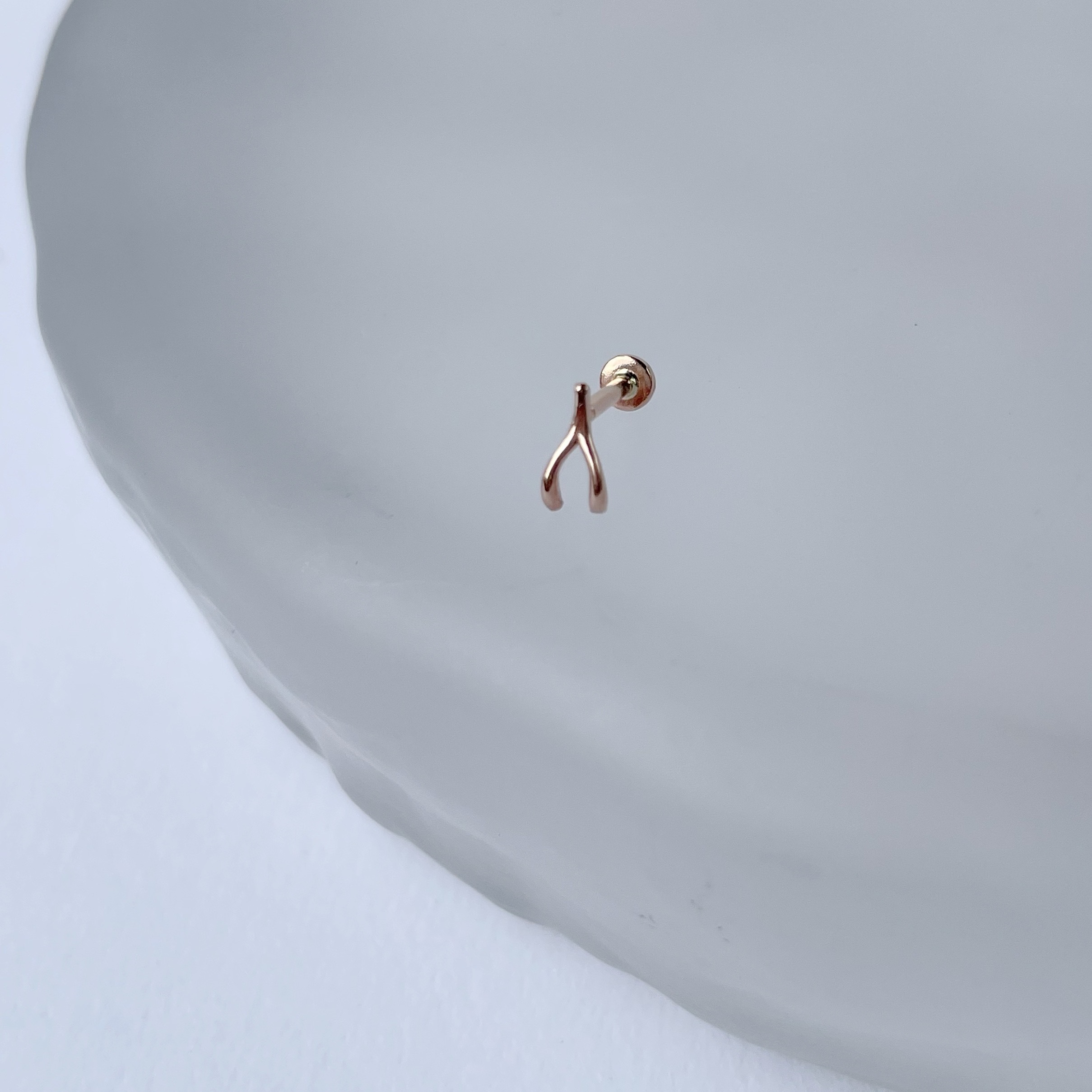 14K Wish Bone Stud耳環