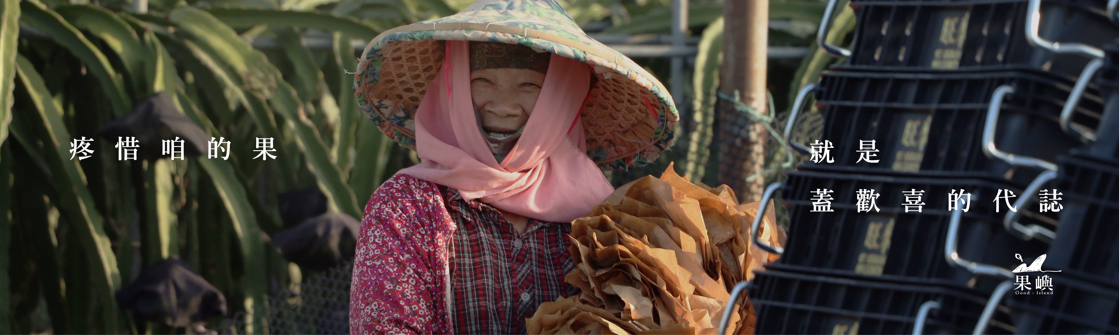 農業價值的永續經營，是果嶼的社會責任