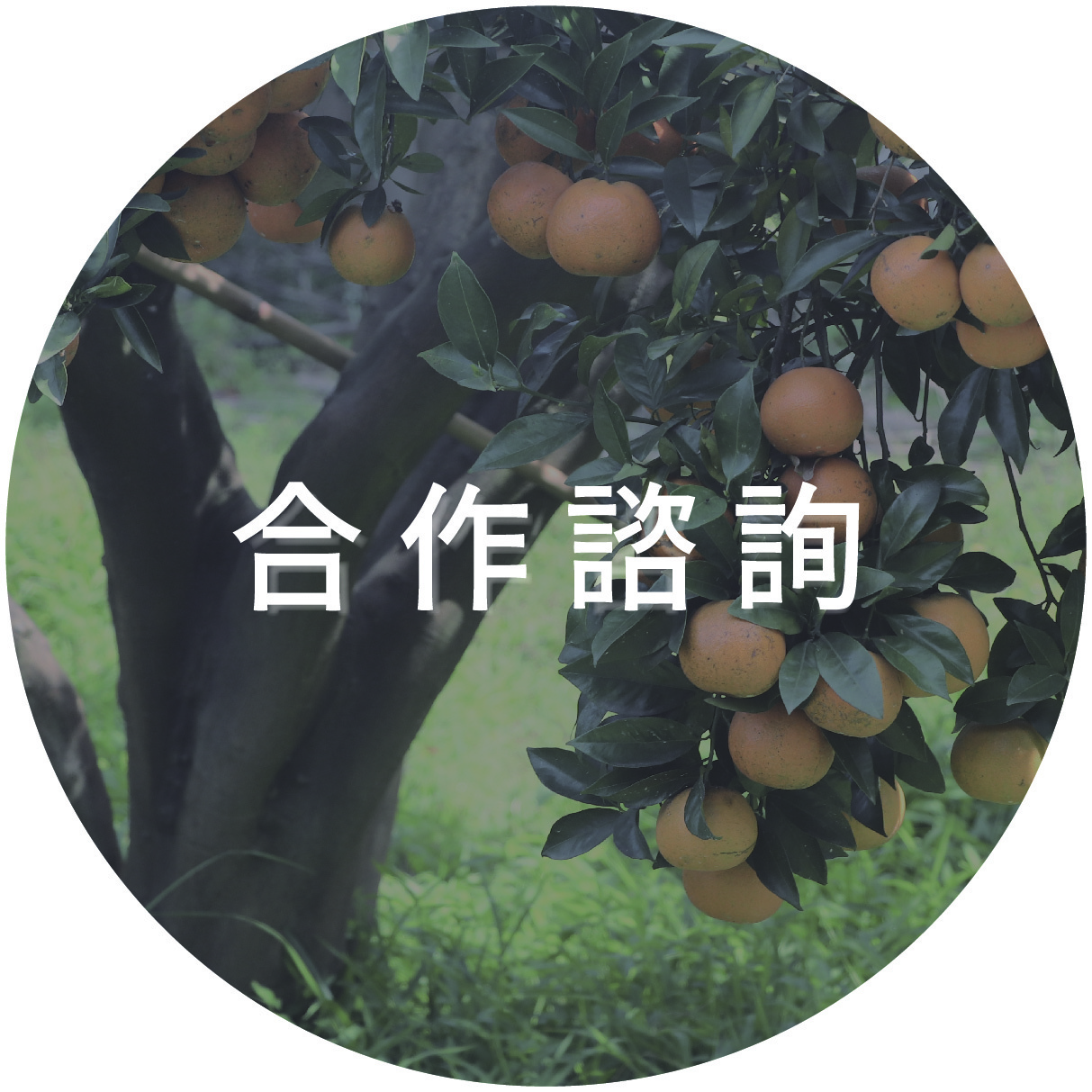 水果原物料批發，果乾果醬商品客製化，企業合作聯繫表單