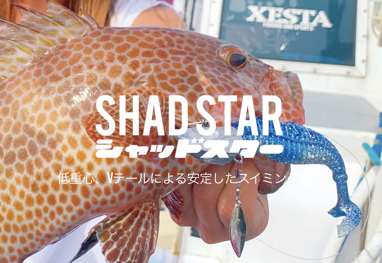 【star⁑fish】速達 Amazon.co.jp: STEPPERONLINE 遊星ギアボックス ギア比 5:1