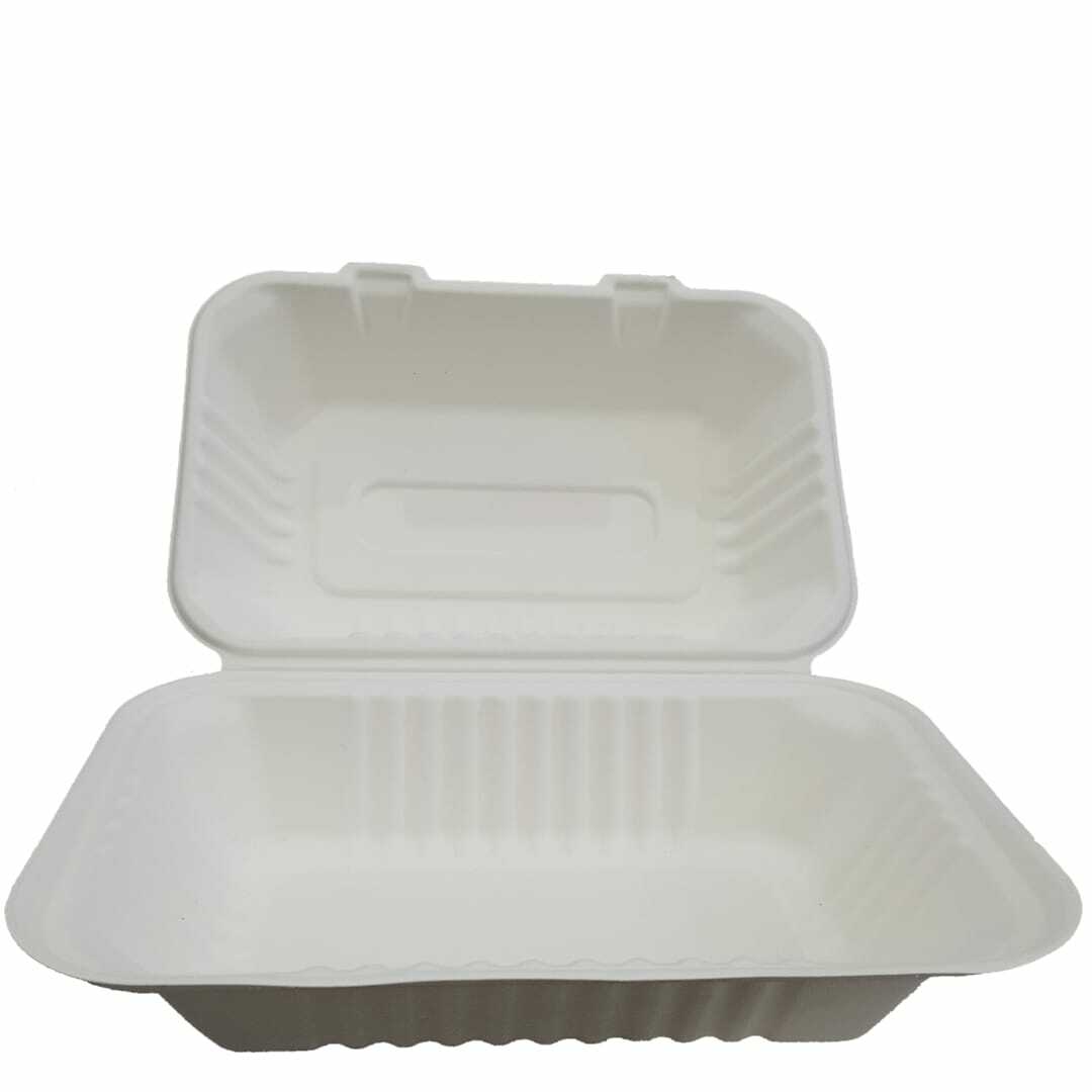 50pcs Biodegradable and Compostable 2 Compartment Lunch Box 2CLB1000