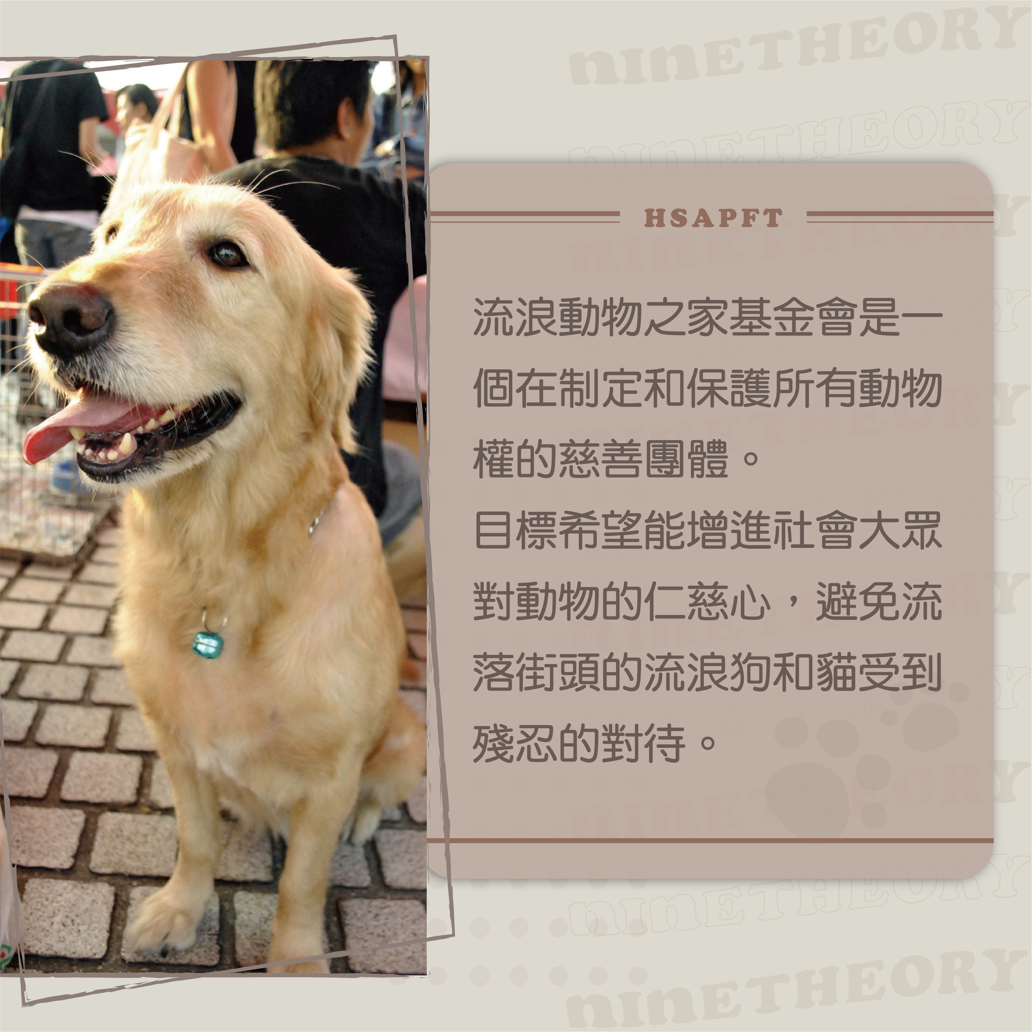 浪愛更長九理念介紹