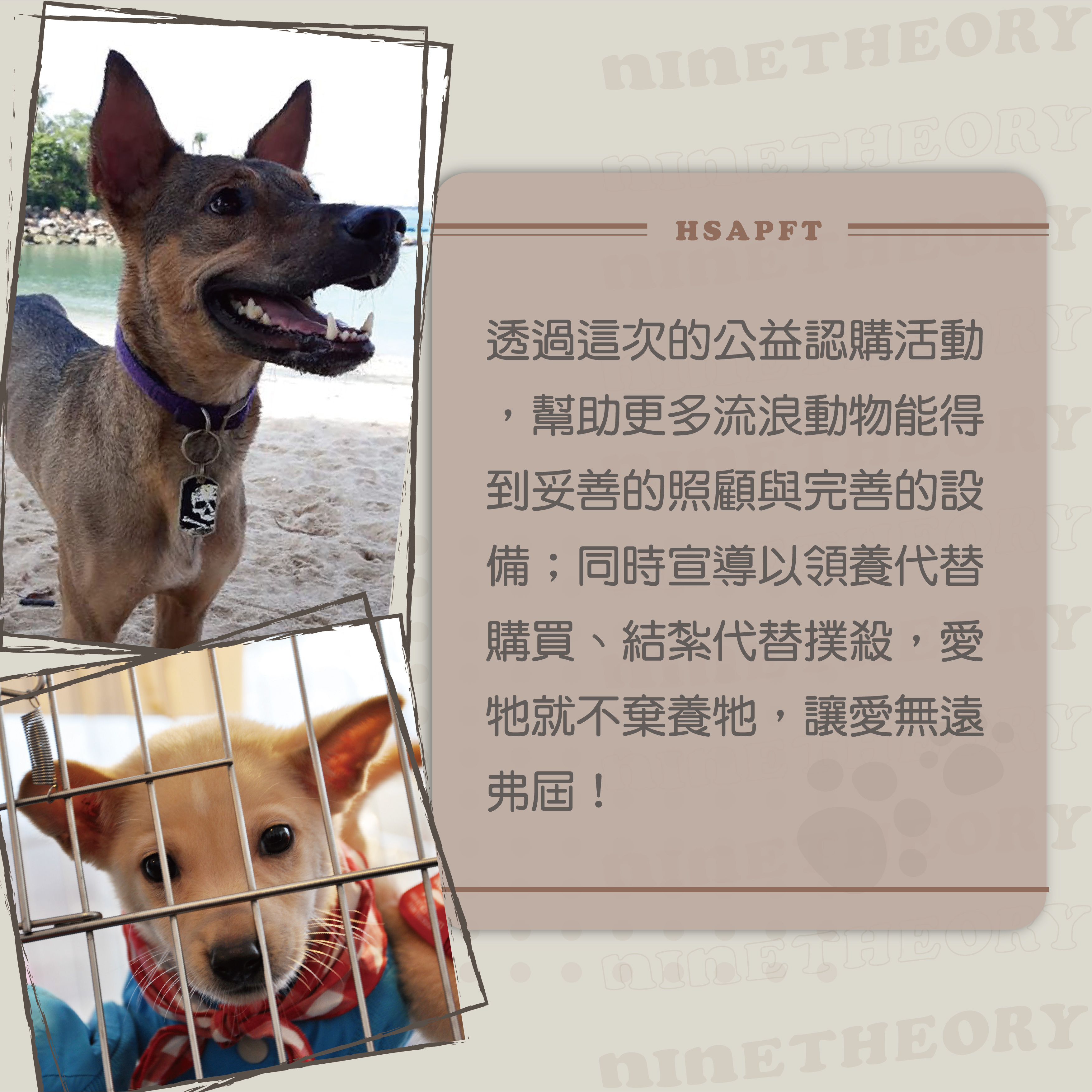 浪愛更長九理念介紹