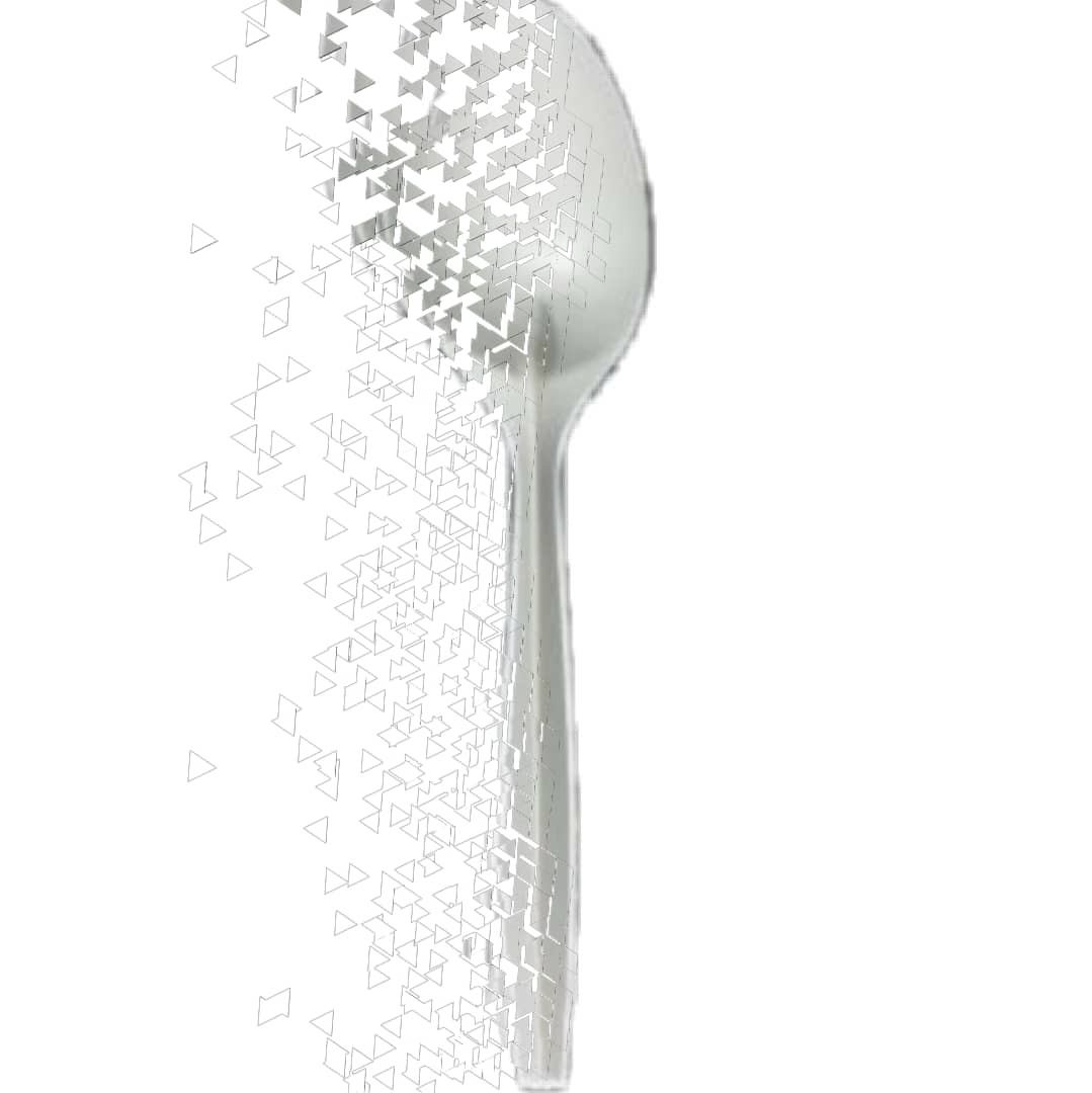 Biodegradable and Compostable Spoon