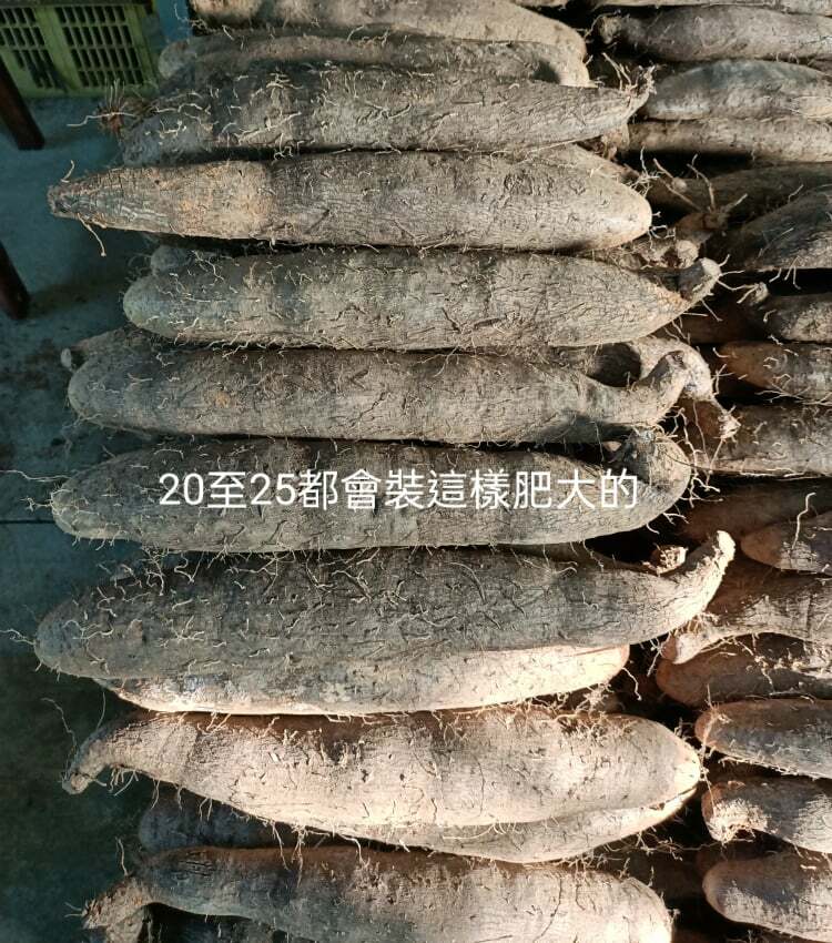 （今年休耕，最快114年重新啟動）★新鮮採收中!★ 台灣白肉山藥｜南投八卦山腳紅土種植