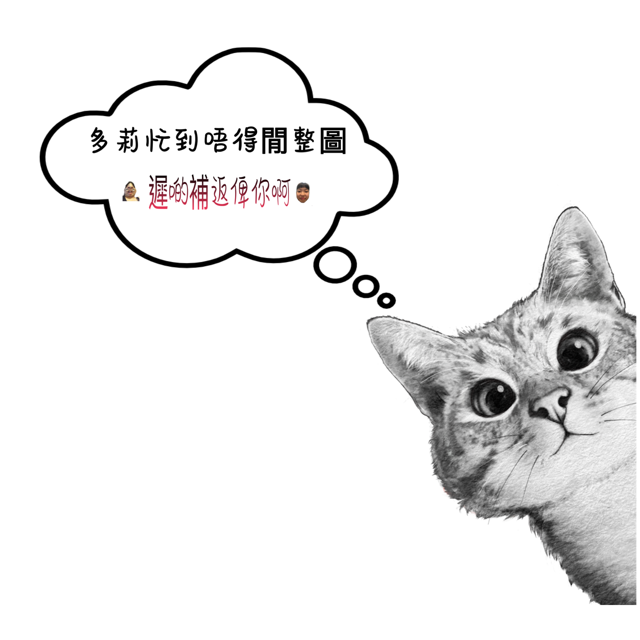 【W】JP 25/06/2025 多莉雜貨景品區 (睇關鍵字下單）