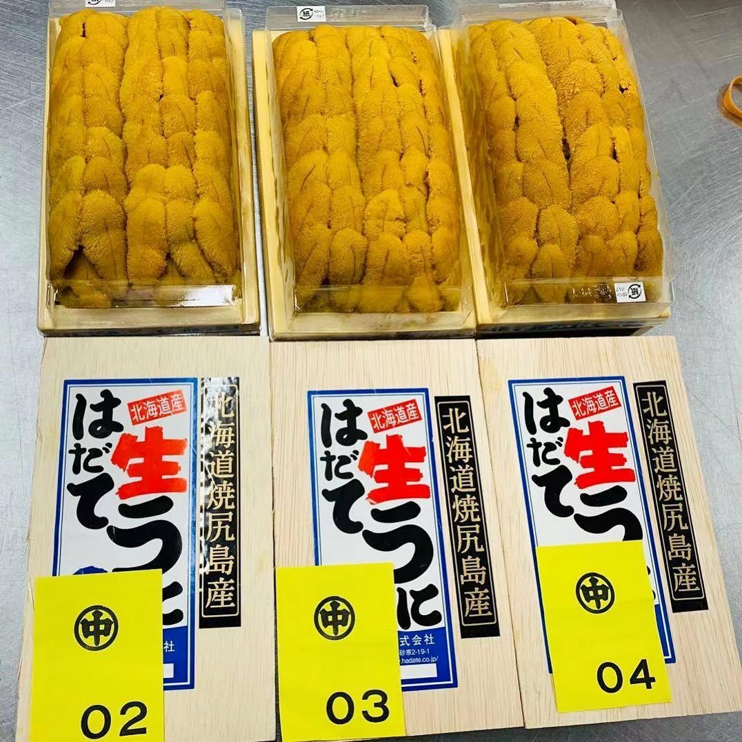 羽立 白海膽（300g）