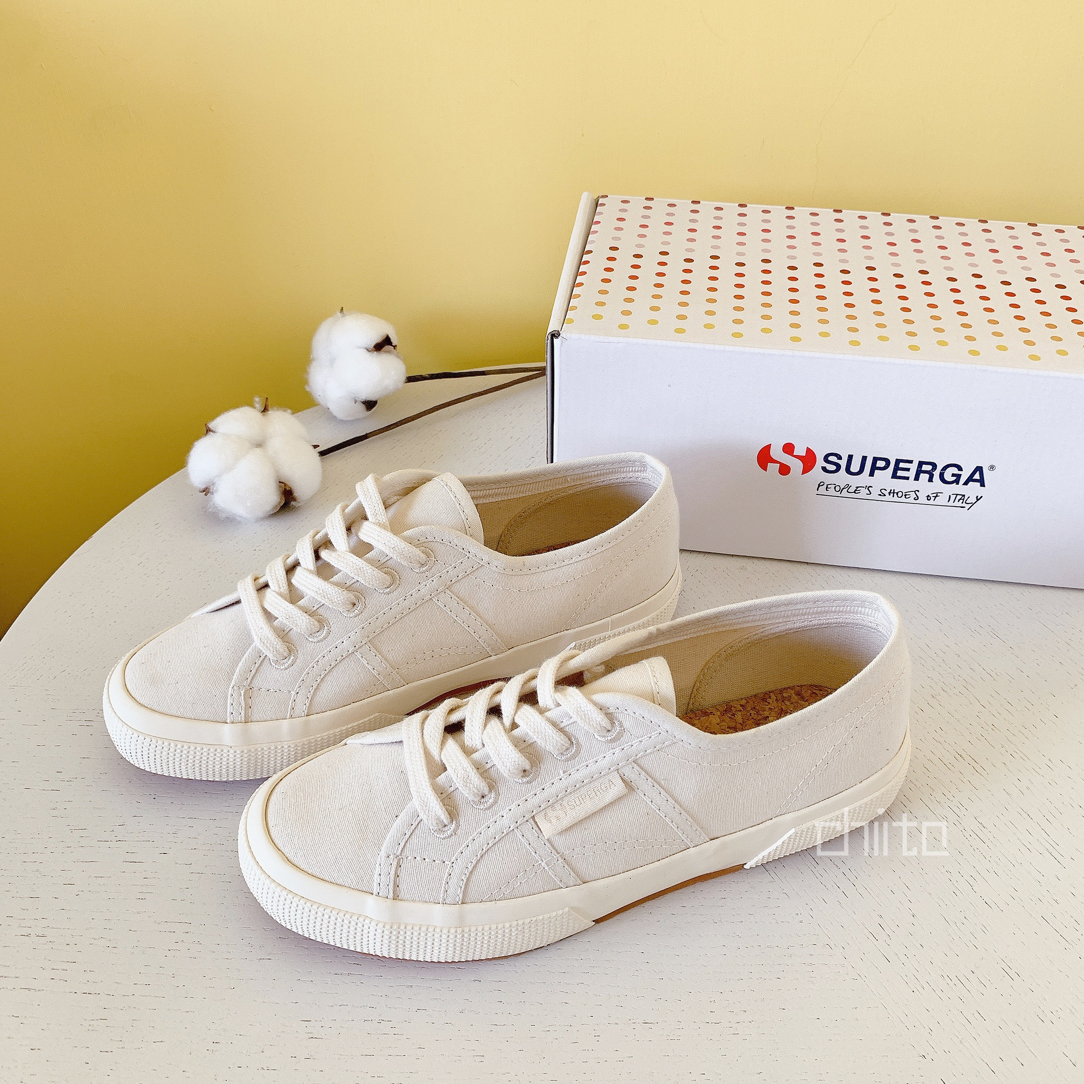 chichiito 日本SUPERGA 2750 米杏色有機棉款