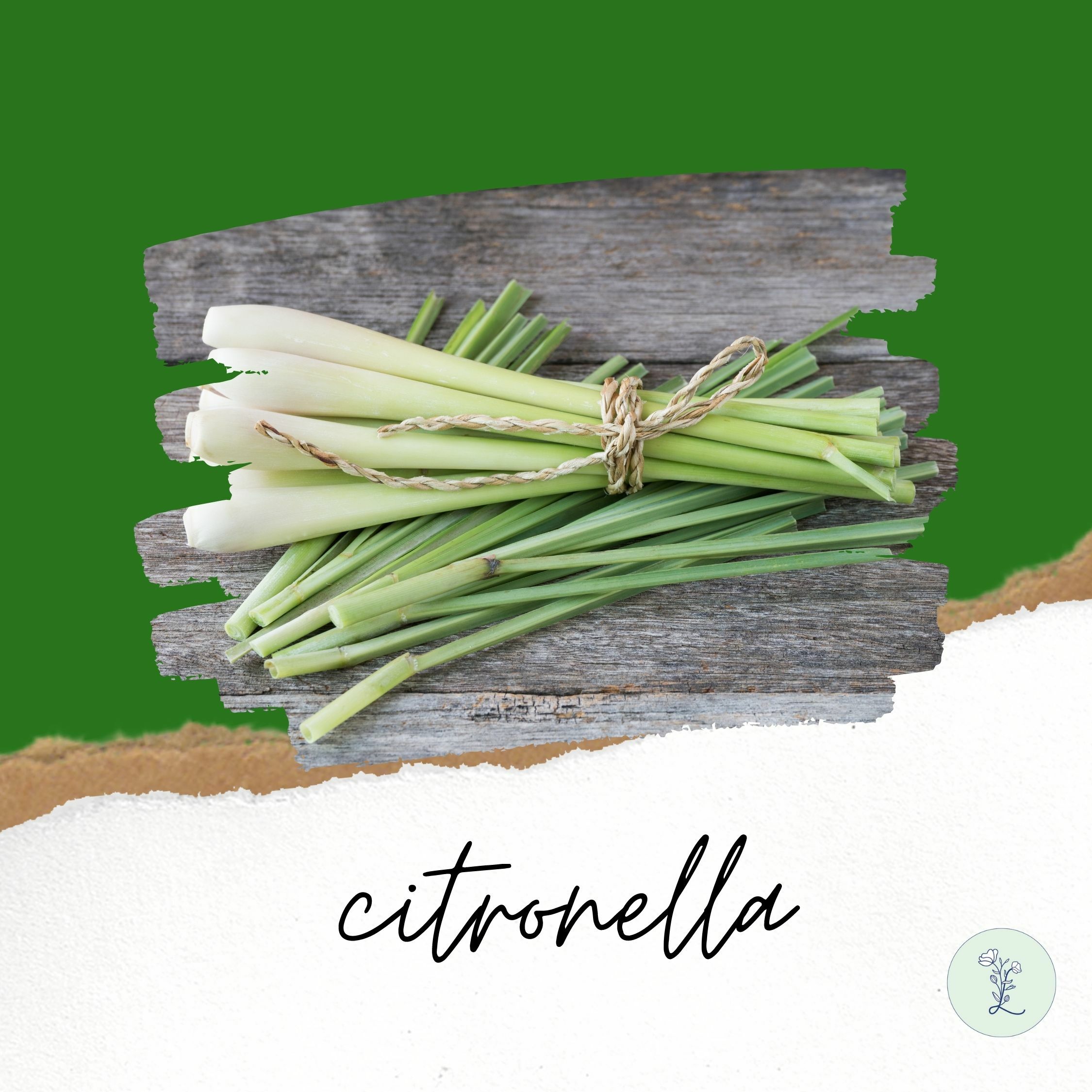 Oshadhi Citronella (Java-Type) organic Essential Oil