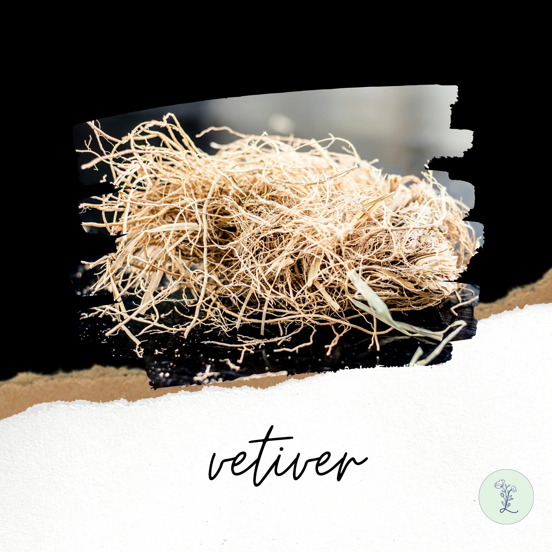 有機岩蘭草精油