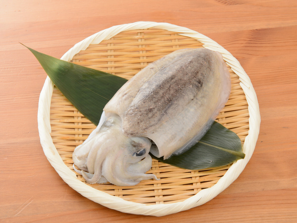 ⚡烏賊祭⚡　墨族3.5号　18本 德華水産｜スミイカ墨烏賊(300-500G/隻)