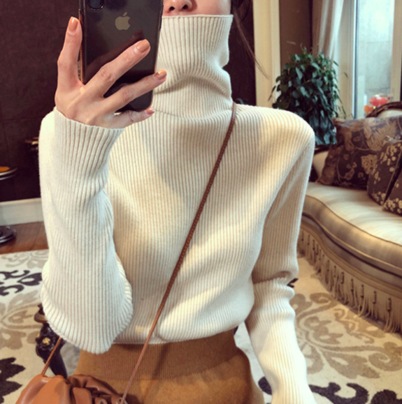 ᴷᴼᴿᴱᴬ 🇰🇷   <現貨>高領顯瘦超彈力直條打底上衣 （八色）