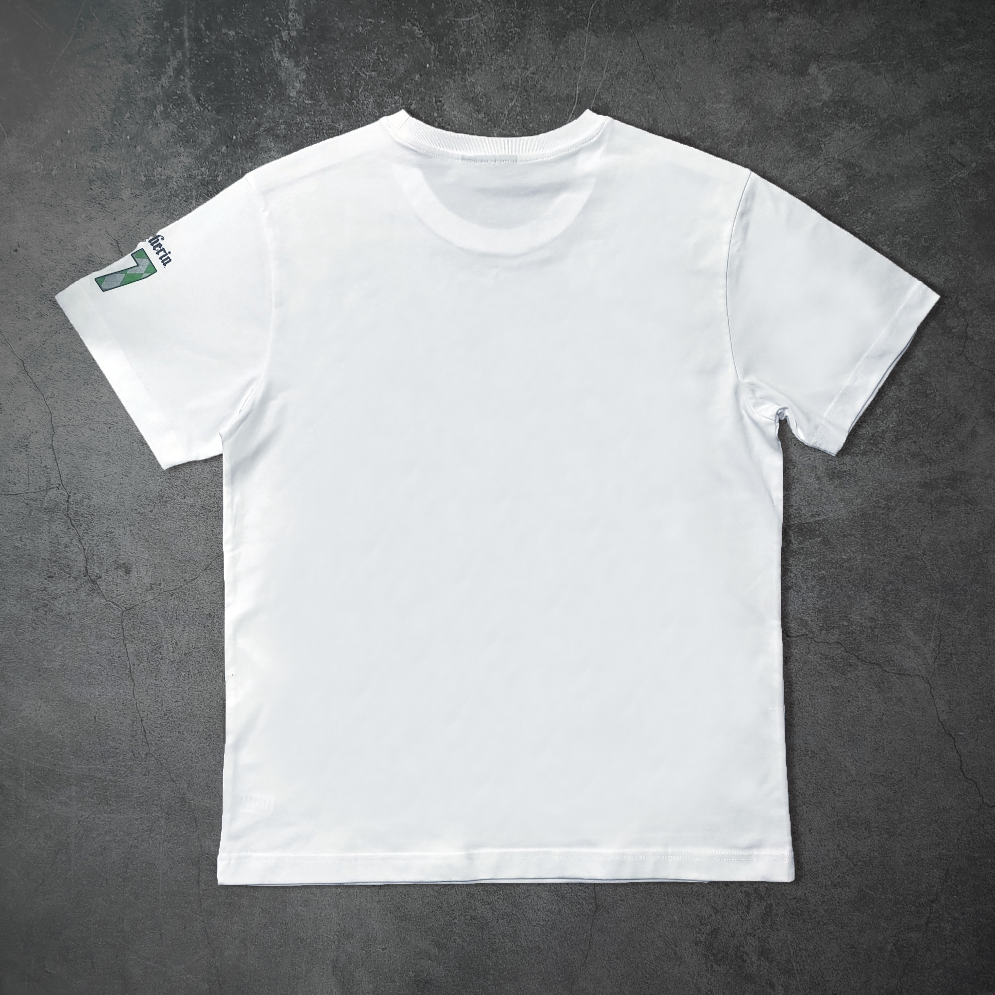 哈利波特-短袖T-shirt-史萊哲林