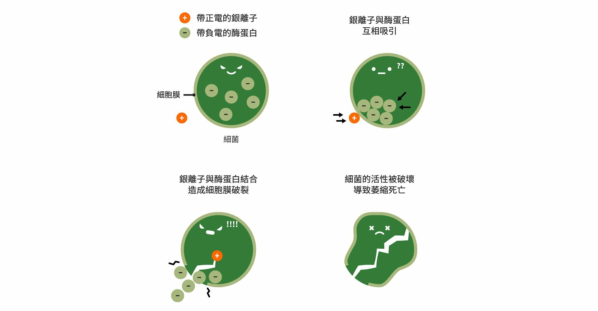經過 SGS專業實驗室的認證，證明確實能有效抑菌達 99.99%｜吟遊詩人的呢喃 x Solide索力得唐草主題聯名抗菌軍規防摔iPhone手機殼