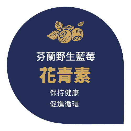 芬蘭藍莓,山桑子,花青素,護眼