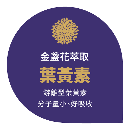 金盞花,葉黃素,護眼