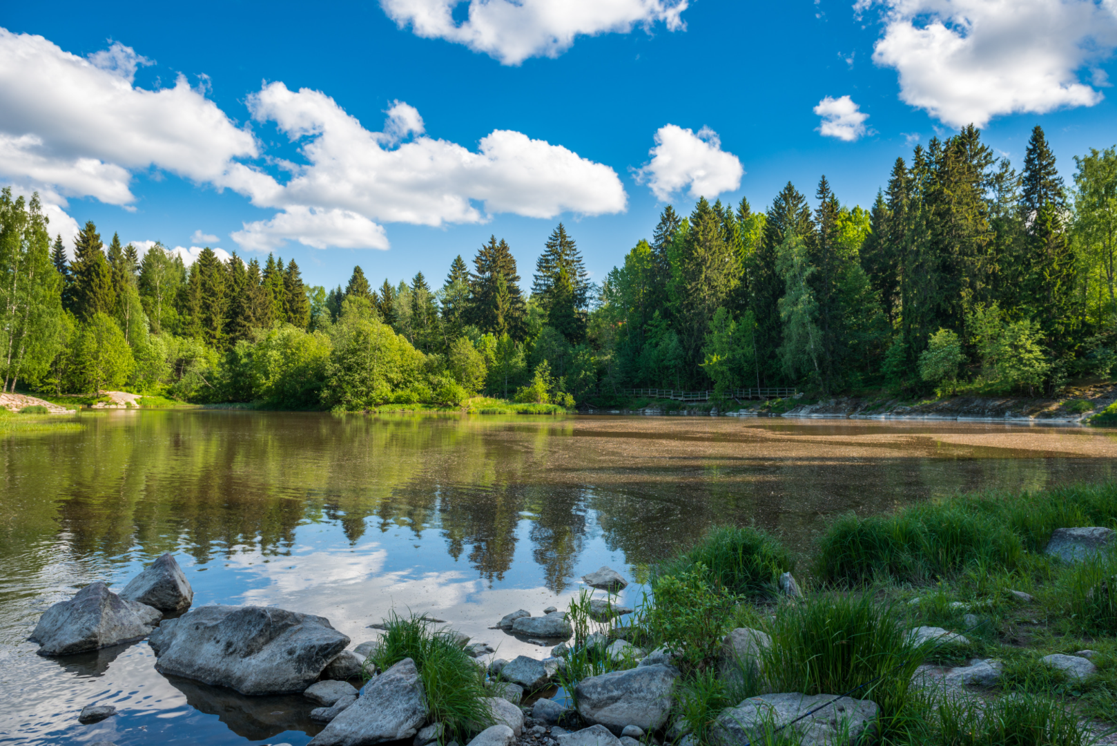 芬蘭,芬蘭藍莓,山桑子,葉黃素,花青素,護眼