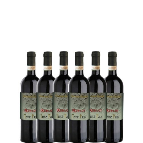 Giacomo Salmaso  - Merlot 2022 DOC (6 bottles)