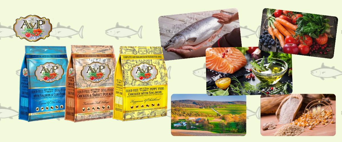 avp狗糧,avp愛威堡,avp,英國狗糧,愛威堡狗糧,avp狗糧好唔好,狗糧推薦,狗糧最好,天然狗糧,無穀物狗糧,狗乾糧,狗糧推薦,dog,starpet,starpethk,寵物用品,dog food