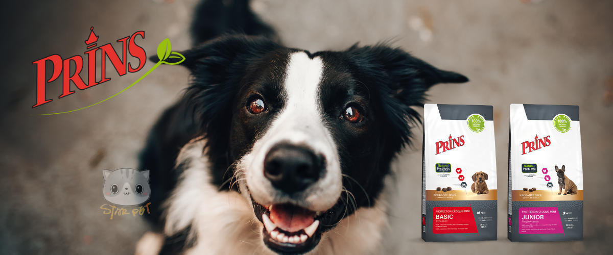 prins狗糧,prins,狗糧,細胞鹽狗糧,荷蘭狗糧,幼犬糧,老犬糧,prins petfoods,prins狗糧好唔好,無穀物狗糧,天然狗糧,成犬糧,寵物用品,starpethk,starpet,petshop
