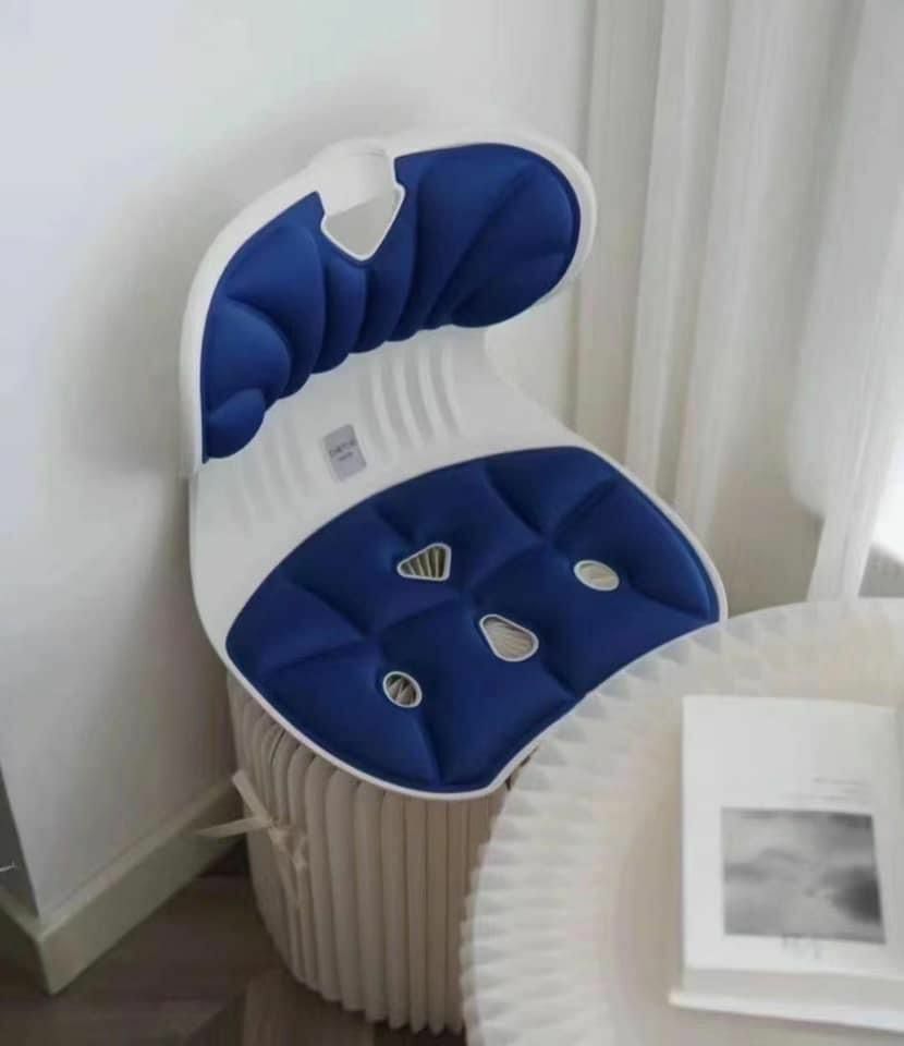 韓國TIRTIR護腰矯姿坐墊