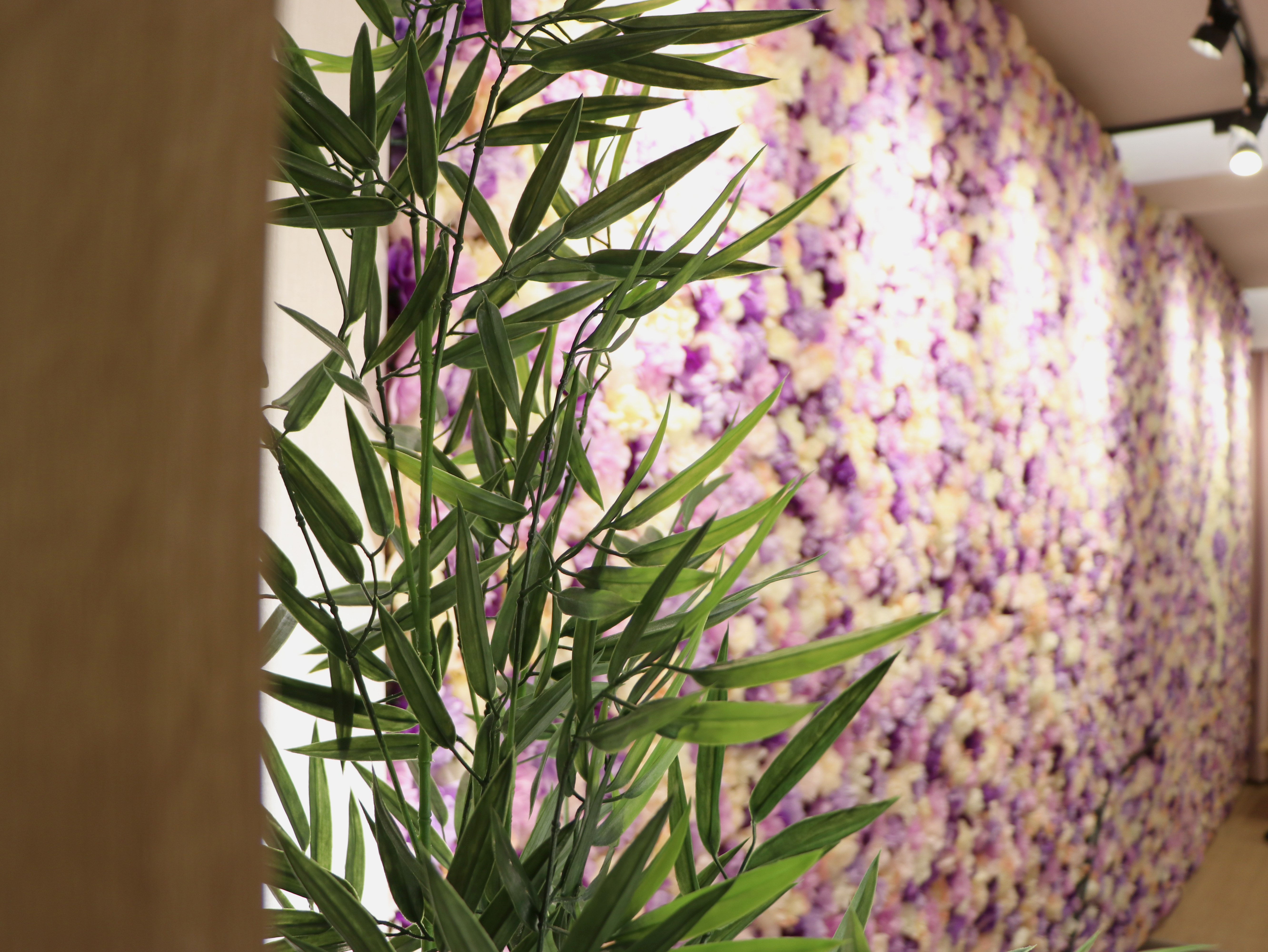 瑜珈教室推薦,中壢瑜珈,,青埔瑜珈,平鎮瑜珈,中壢運動中心,瑜珈老師