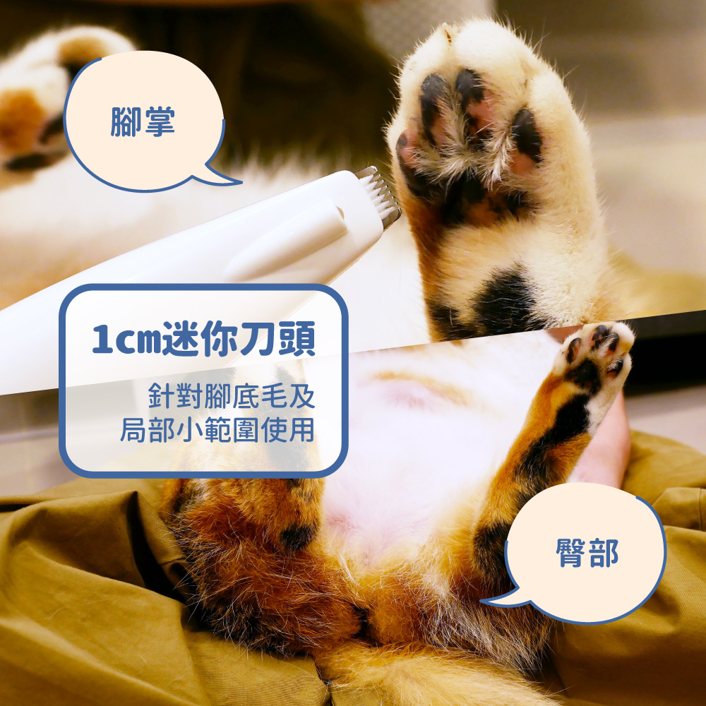 LULU~ 寵物腳底毛安全電剪｜​腳掌x屁屁