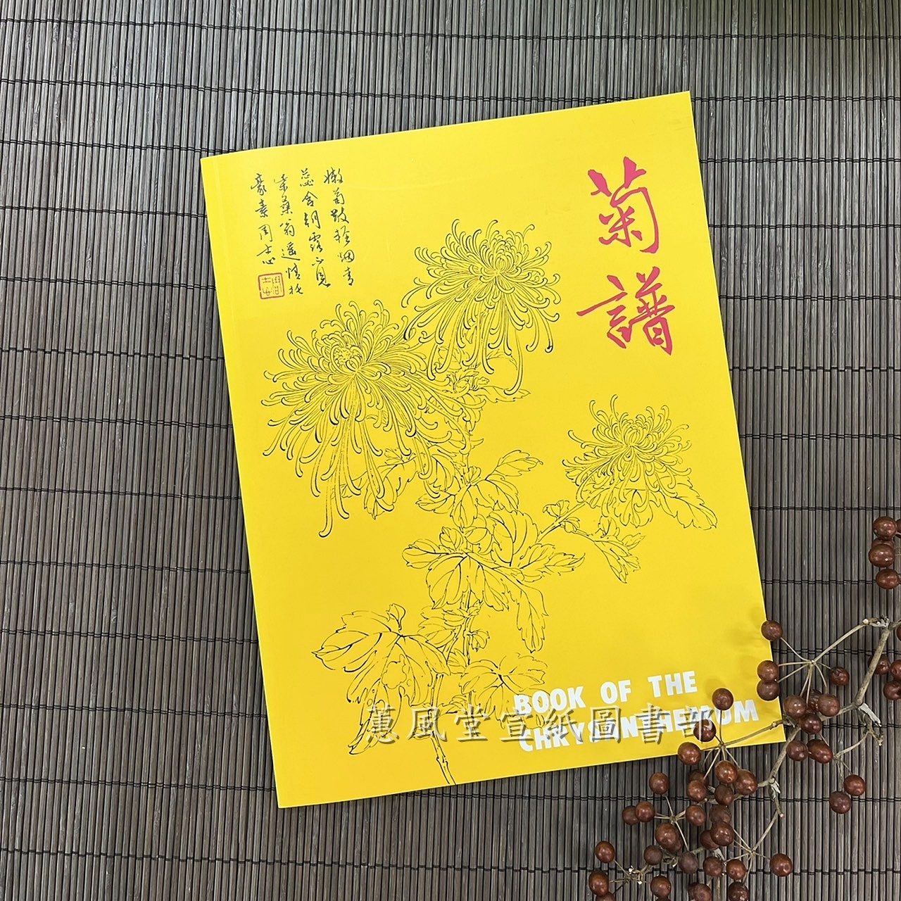 中國花卉畫基礎之四-菊譜