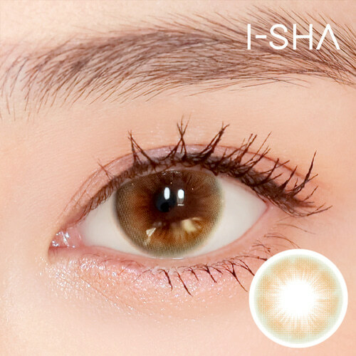 I-SHA Sugar Pasteli Year (Baby Brown)(1P)