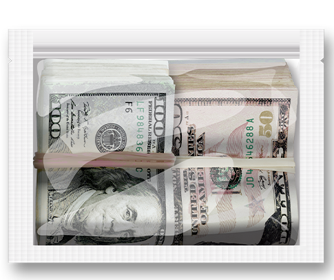 STINK SACK™ MONEY BAGS SMELL-PROOF STORAGE BAGS