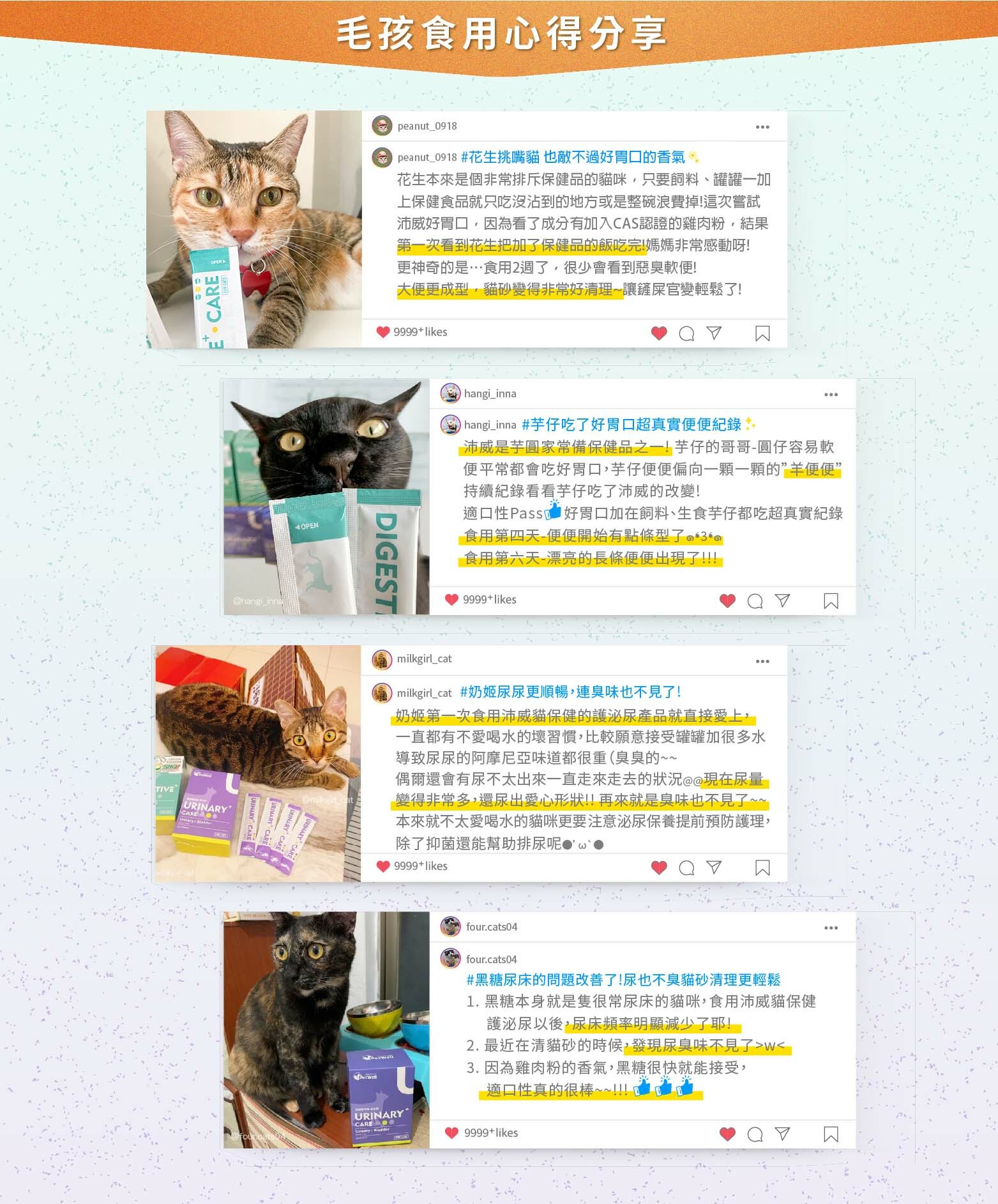 30天試吃體驗挑戰 毛孩食用心得 花生挑嘴貓也敵不過好胃口的香氣 芋仔吃了好胃口超真實便便紀錄  奶姬尿尿更順暢連臭味也不見了