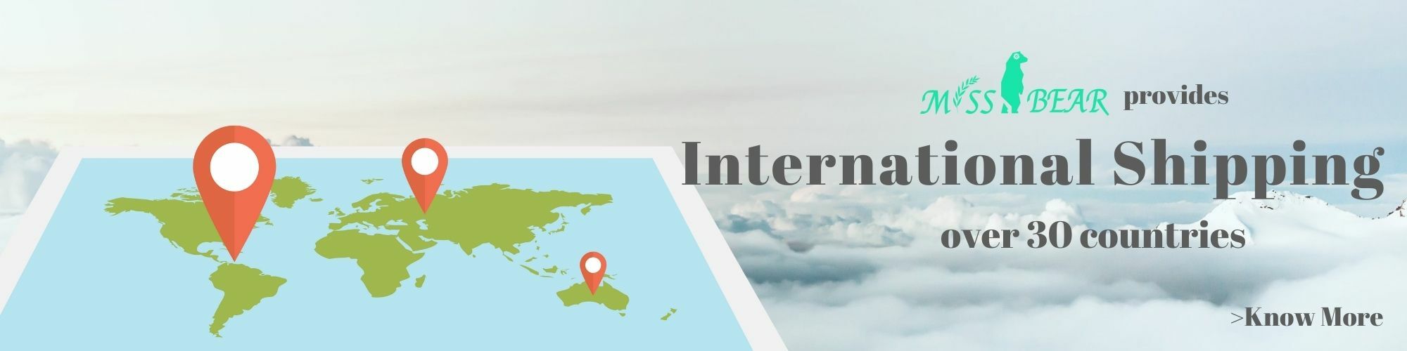 Miss Bear International Shipping