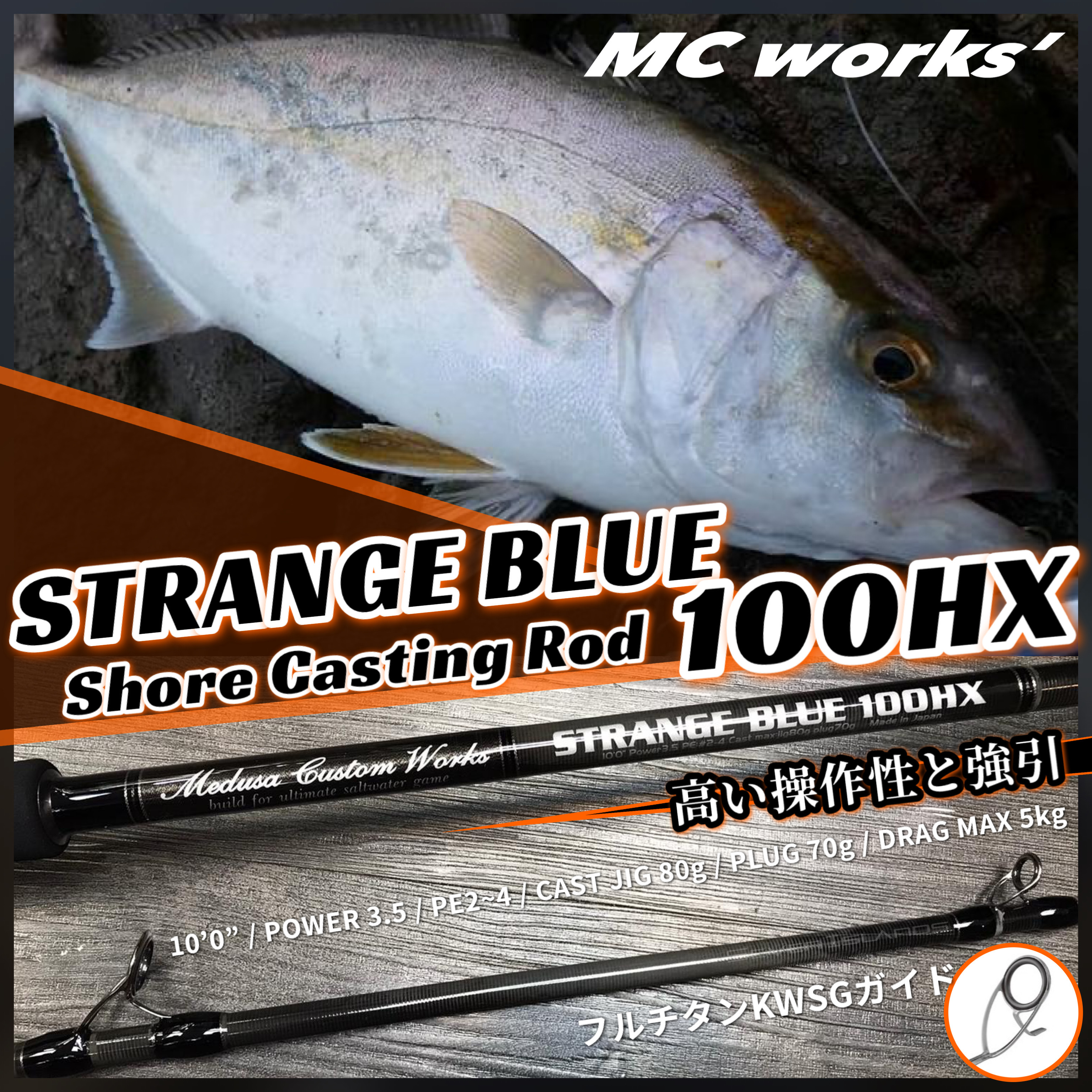 MC WORKS STRANGE BLUE 100HX SHORE CASTING ROD