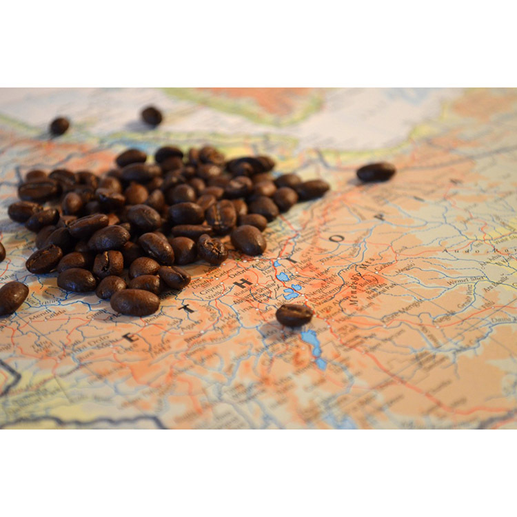 【捲捲頭挑貨】 精選咖啡豆 (多規格)