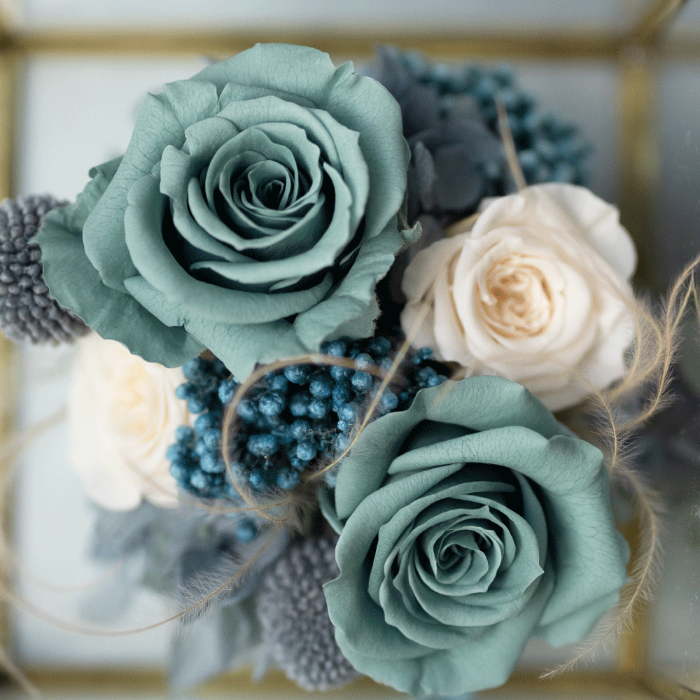 金框玻璃恆星花 - 綠松色