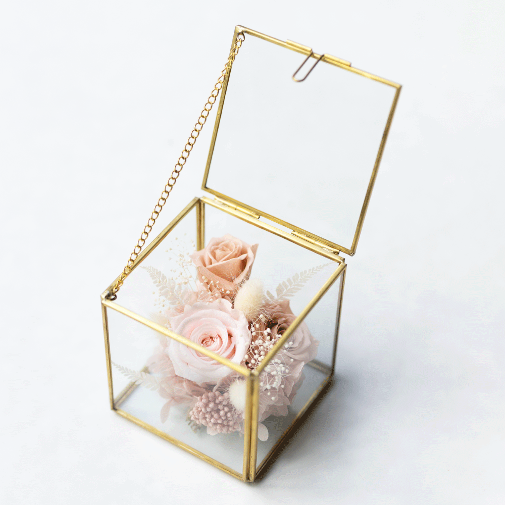 金框玻璃恆星花 - 裸粉色