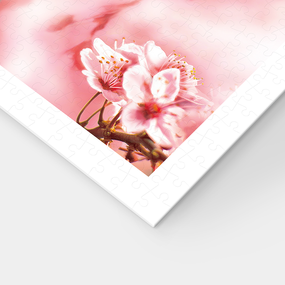 H2462 - 平面300片- 櫻花系列款- 櫻花小貓