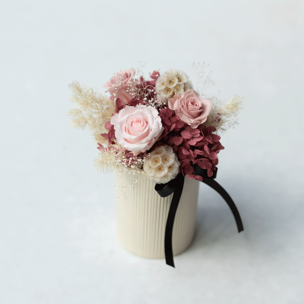 香川粉黛 恆星盆花